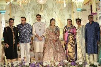 Director Gunasekhar Daughter Wedding Photos